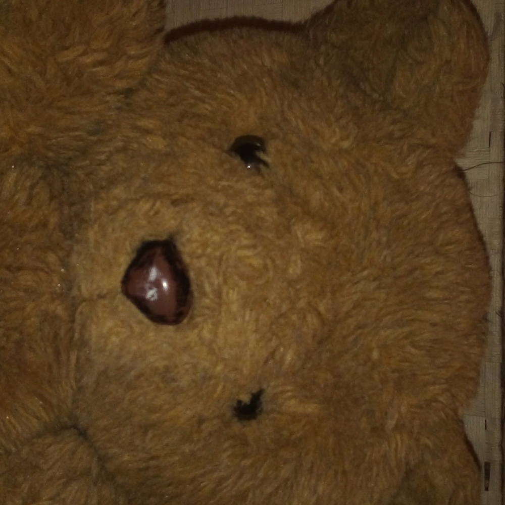 Teddy bear - Picture 2 of 2